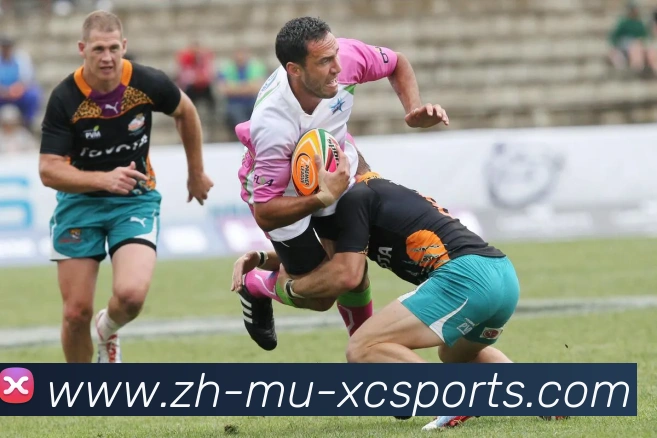 多媒体互动体验