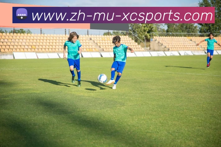 杏彩体育APP 高清赛事图